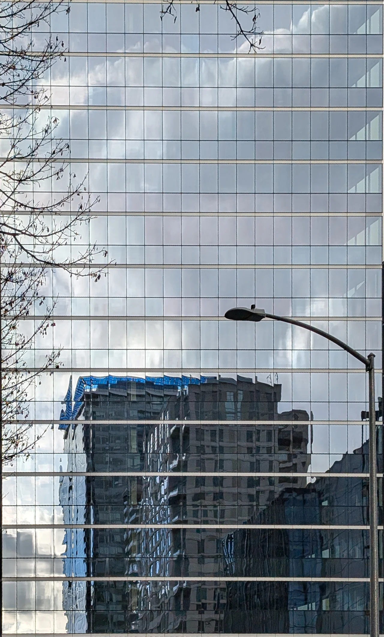 A streetlight and bare branches against a pale glass facade.